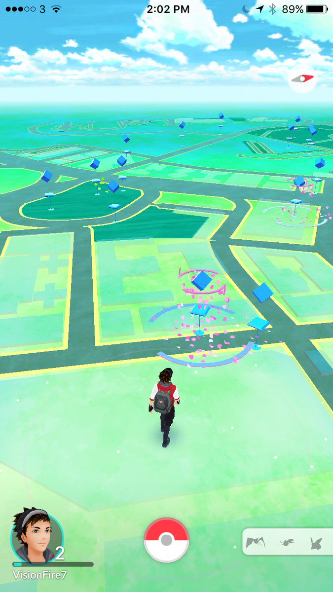 GaryOrona's tweet photo. searching for my next pokemon https://t.co/DZbMtjQuZx