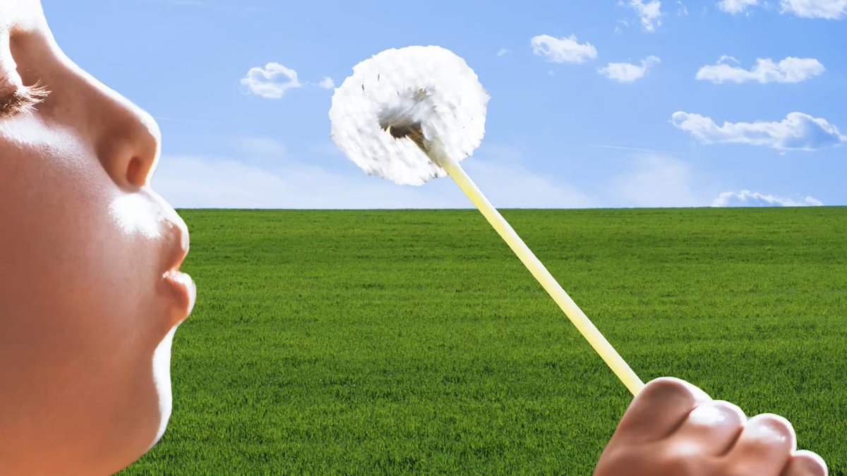 #Teachers, check out our Pre-K-12 program that inspires kids to improve #air! buff.ly/2a9KF9K #STEM