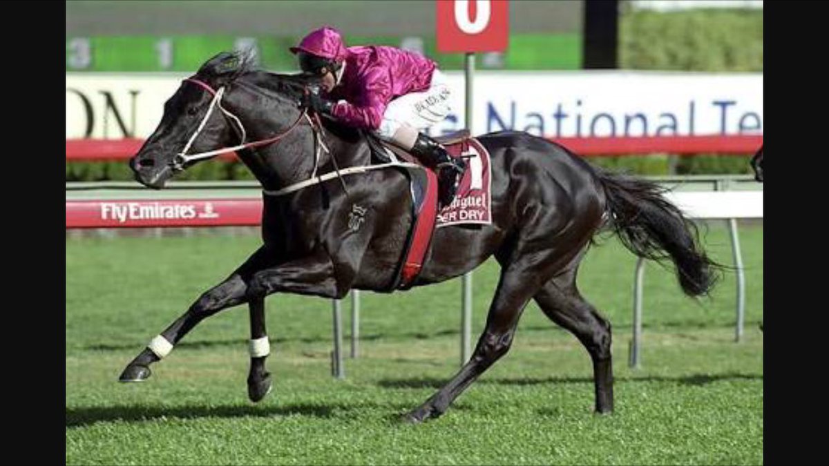 Quinny_1's tweet photo. Happy 18th birthday to one of the greatest and best looking horses I've seen
Lonhro!
Have a beer on us punters pal 🍺 https://t.co/E0CDKAr2Bx