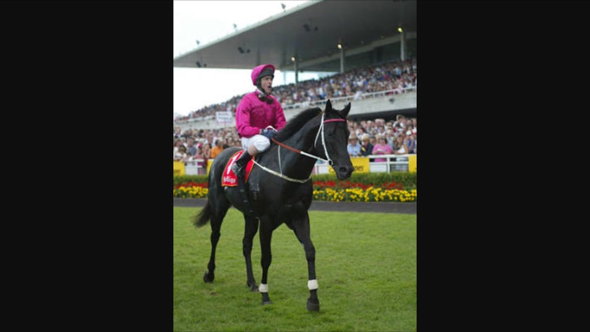Quinny_1's tweet photo. Happy 18th birthday to one of the greatest and best looking horses I've seen
Lonhro!
Have a beer on us punters pal 🍺 https://t.co/E0CDKAr2Bx