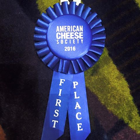 YellowDoorCR's tweet photo. and the winner this year at #americancheesesociety is Harissa Rubbed Fontina #YellowDoorCreamery https://t.co/kU458anbS3