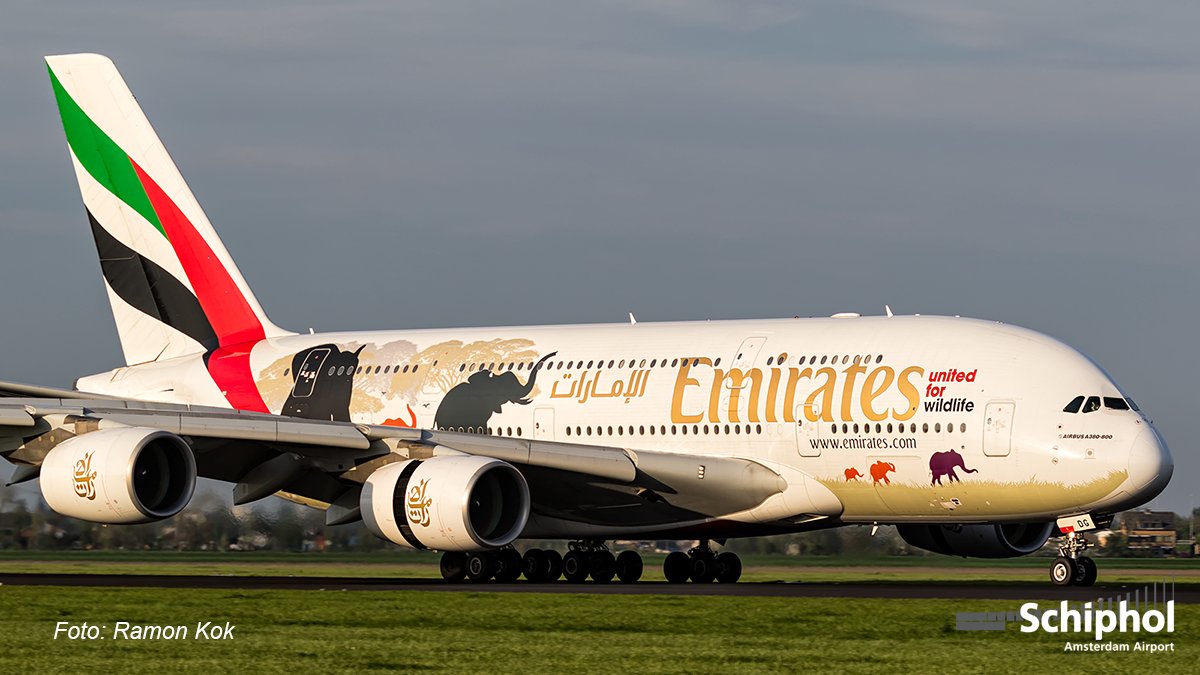 Spotten op Schiphol is soms net een safari. Wie mazzel heeft ziet zelfs de 'Big Five' voorbij komen! #EmiratesA380
