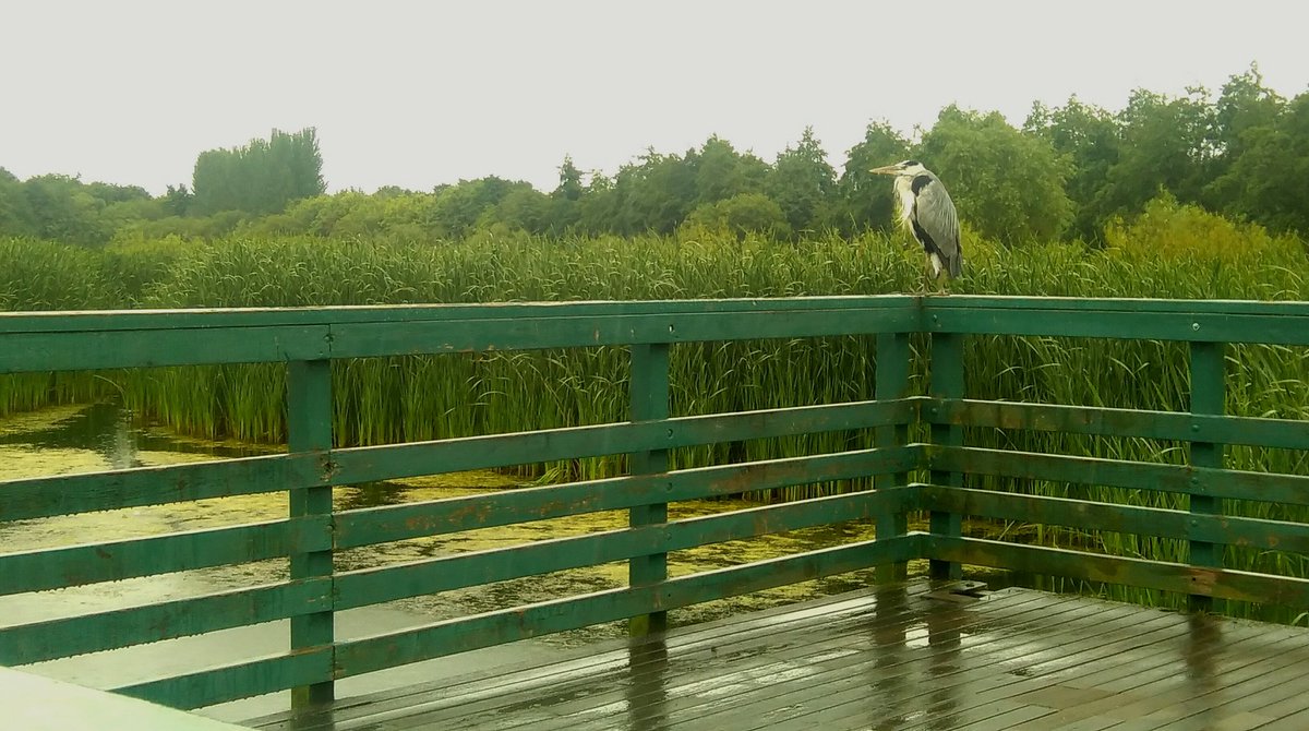 Anne Sheridan tweet media