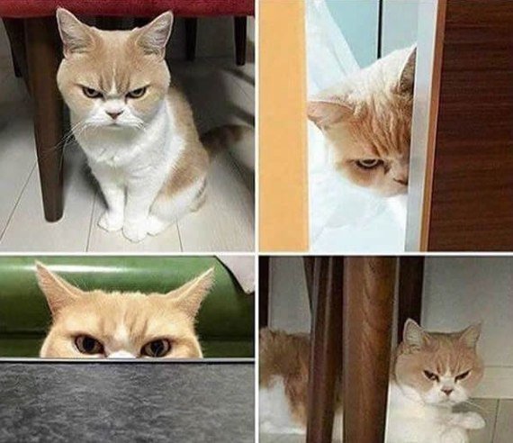 tw_dobrota's tweet image. Когда ты спрашиваешь её, что не так, и она отвечает "ничего", а потом весь день смотрит на тебя вот так