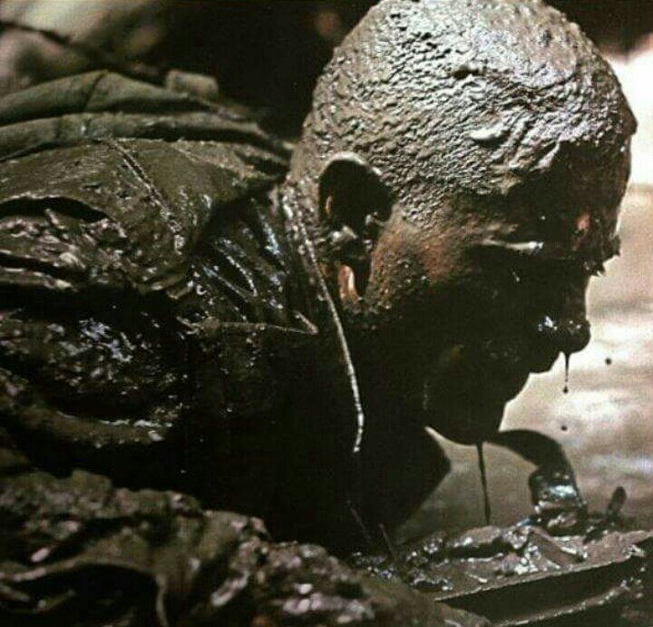 Yeri geldi çamura girdim
Yeri geldi yağmurda ıslandım
Ama asla vatana ihanet etmedim #sesver #haketmedik