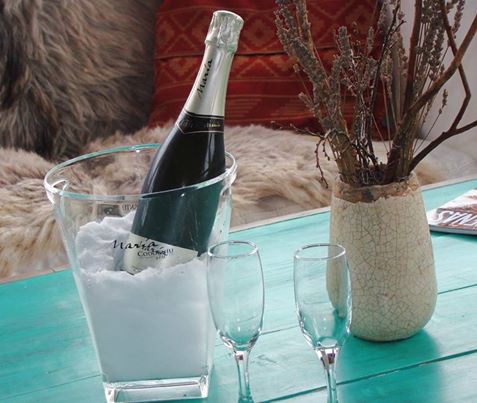 María Codorníu tweet media