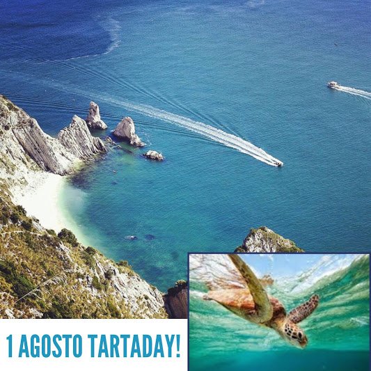 Oggi è il #Tartaday nella #RivieraConero!Si parte dal porto di #Numana  #destinazionemarche bit.ly/2978vpy