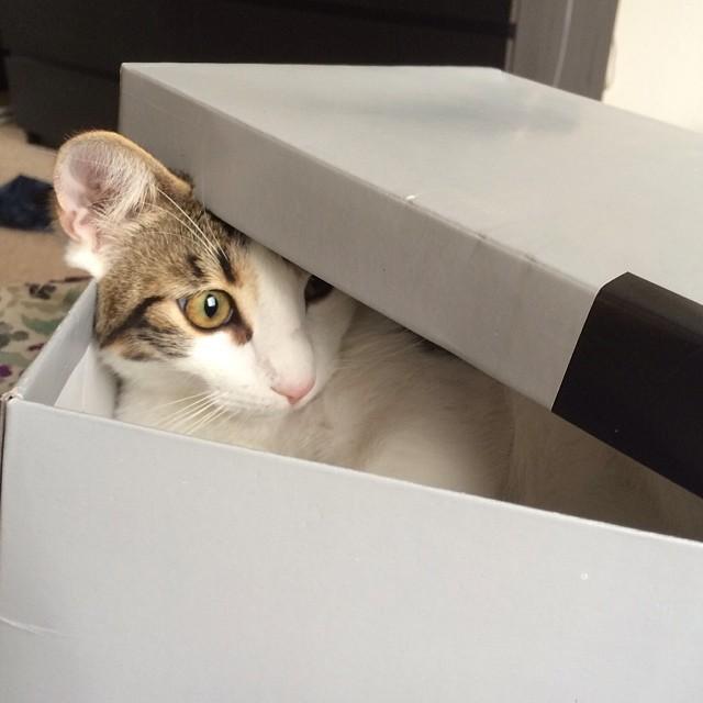 WendyOJones's tweet photo. suprise. 🎁 https://t.co/O5UsLdFqPJ