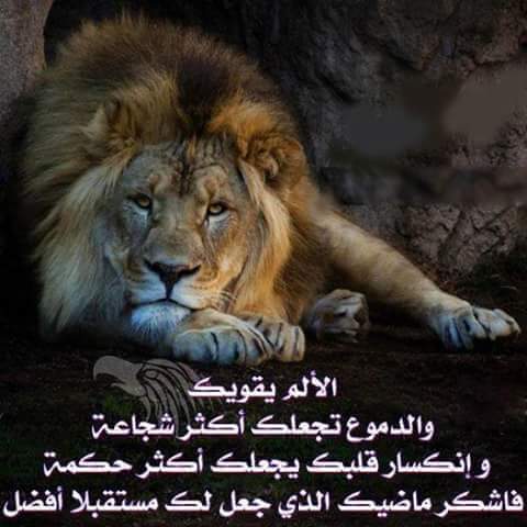 samaredwan's tweet image. 