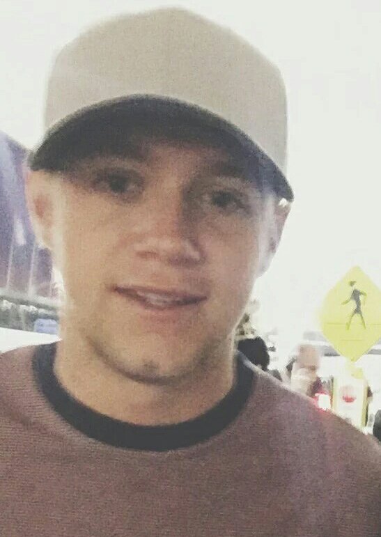 1DNiallMaynard's tweet photo. he is so beautiful 😍 https://t.co/ycLyPpiOD9