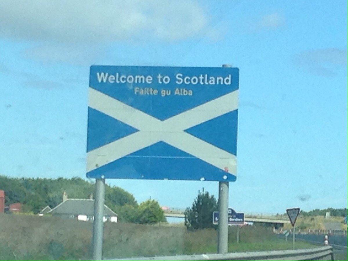 Short and Curly tweet media