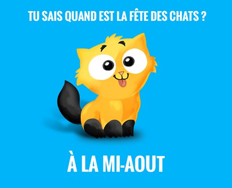 twaigthegame's tweet image. Elle est pas mal hun ? #1eraout