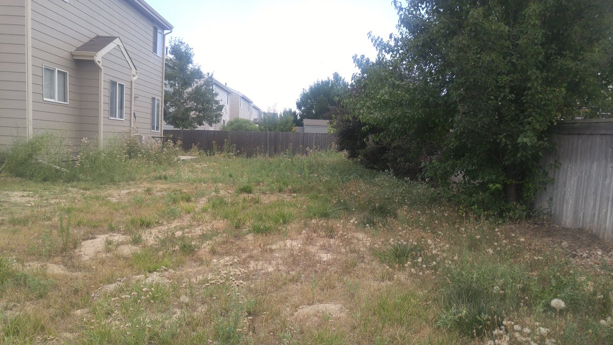 MikeCOWFG's tweet photo. @hgtv please help! Bought a great house but had to give up on our backyard. No idea where to start. Help! https://t.co/nxTp53MKnx