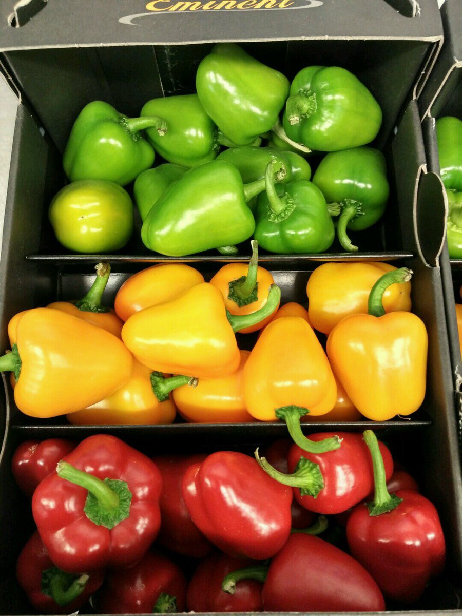 ribblefarmfare's tweet photo. #Peppers; stuff, grill, raw... Salads, goulash, kebabs, stir-fry, ratatouille, pasta. #versatileveg ❤️💛💚 https://t.co/AHiCljDoAi