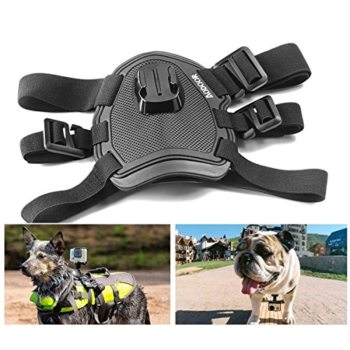 Get all the action from your pets antics with your Go Pro. → Do it! goo.gl/3ZsUTw