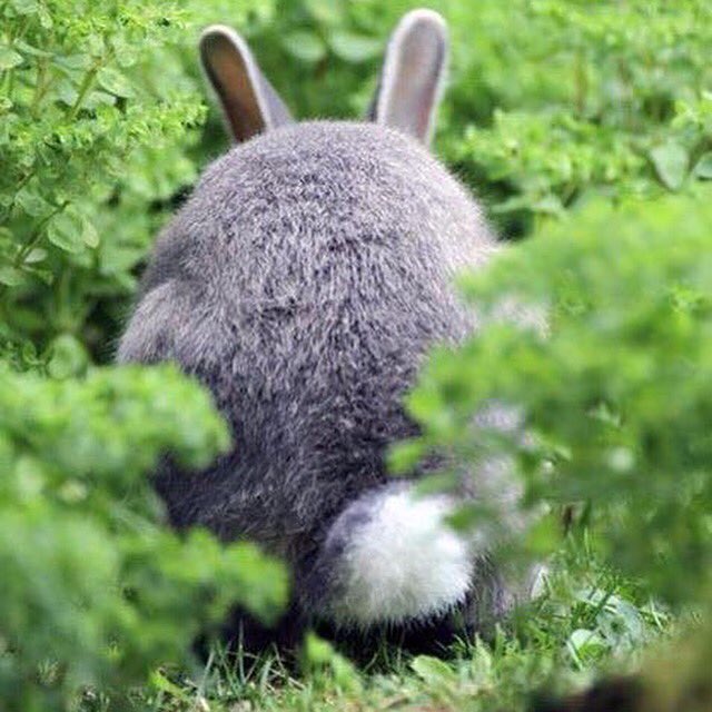 ThriveWithJody's tweet photo. Hello August...Lets do this! #Rabbit #Rabbit #Thrive #success #focus #goals #WorkFromHome #Mompreneur #free https://t.co/FEhmtORp8U