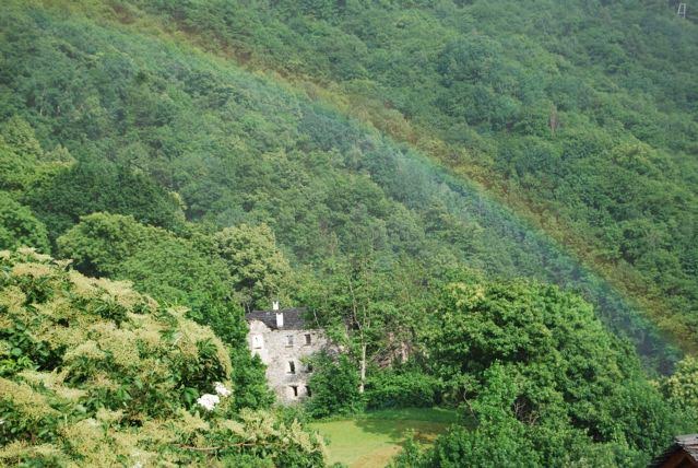 BlueAlpineLotus's tweet image. Come and rediscover yourself! A wonderful mini-retreat coming up with maestro Filippo Fabbri 21-24 August. Book now!