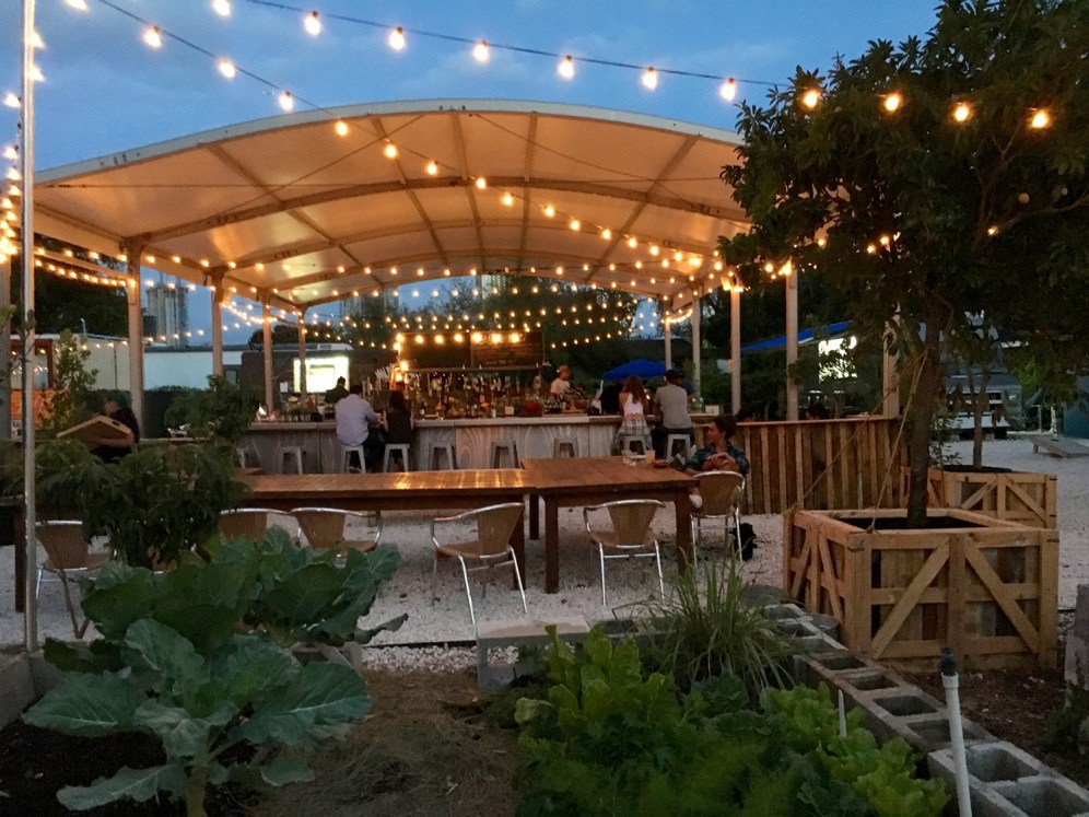 The New Tropic tweet media