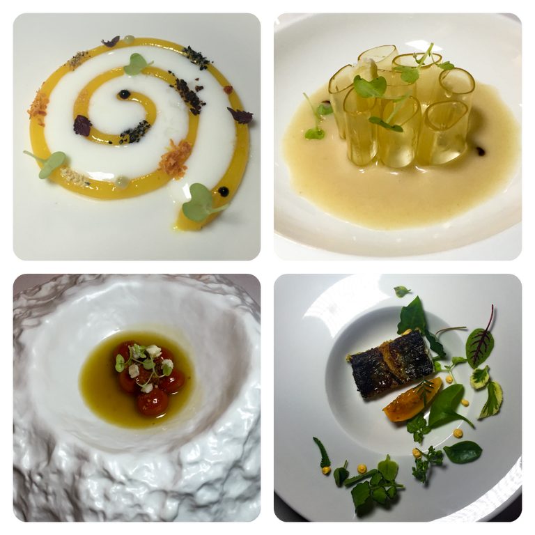 Videointervista a #TerryGiacomello. I suoi 4 anni a <a href="/elBulli_oficial/">elBullifoundation</a> e ora all'@Rinkiostro pptng.it/2arsQGo