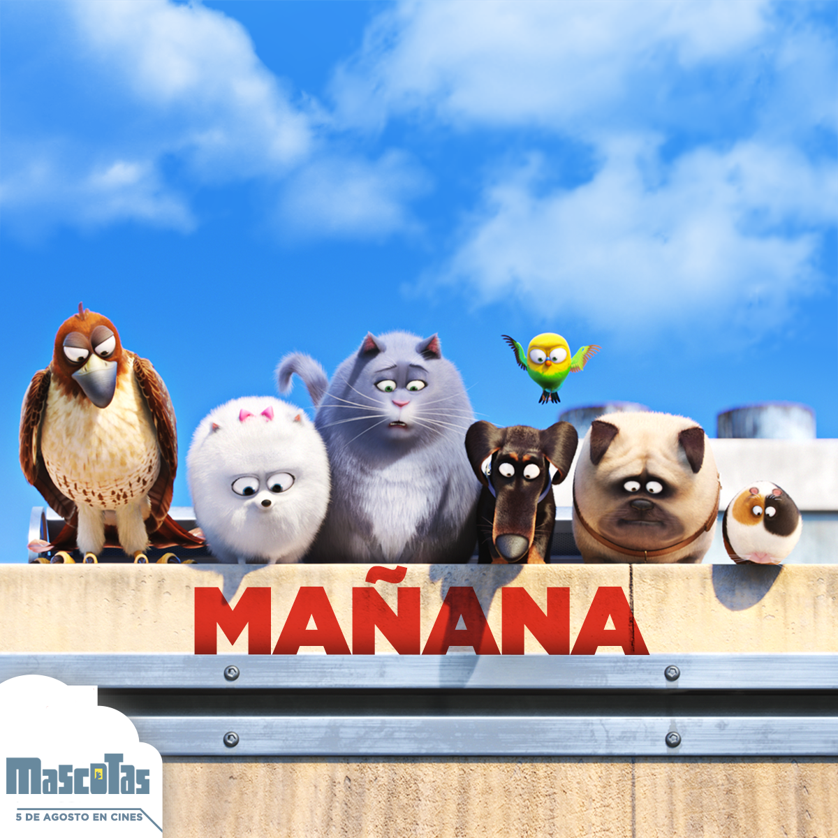 Universal_Spain's tweet photo. ¡Mañana descubrirás lo que hacen tus mascotas cuando no estás en casa! #MascotasLaPelícula Sólo en Cines. https://t.co/xtEmFksDAu