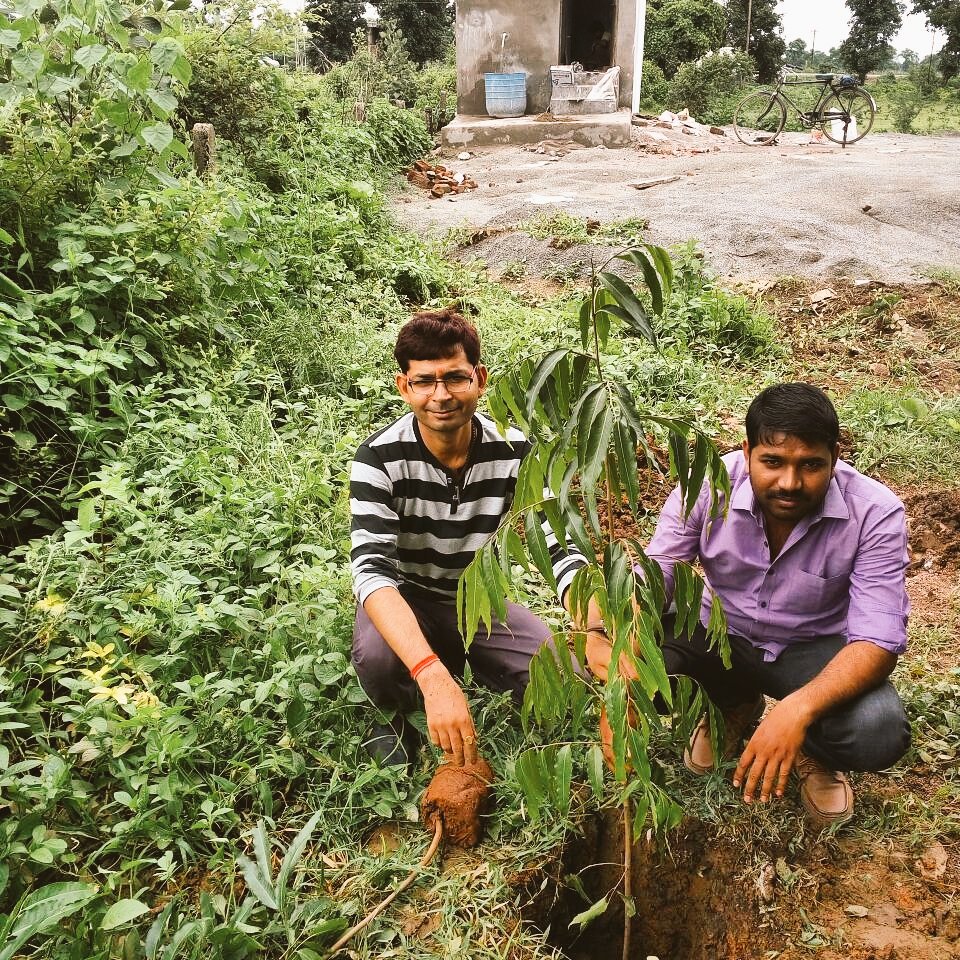 Pplantation in Our Office campus