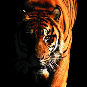 The more research you do the more likely it is you ill impress an employer. #GradcrackerTopTip