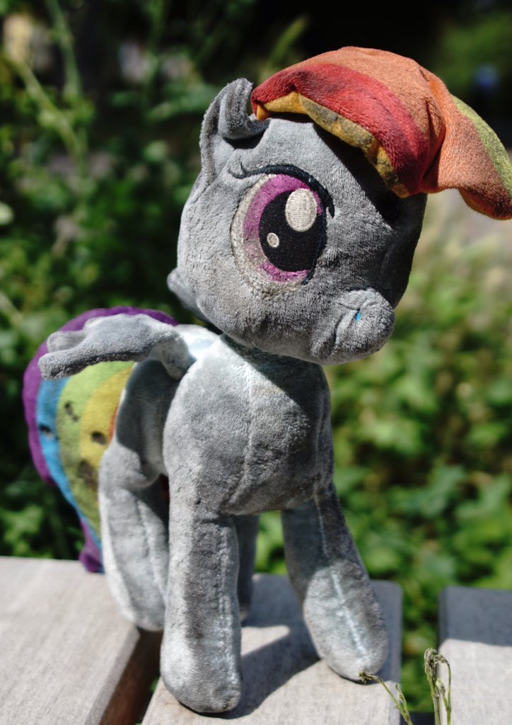_tikeyx_'s tweet photo. The most sad thing after @gala_con I just found dirty,burned,RD plush .I will give her new home! #galacon #brony https://t.co/8jlQ6KnJuZ
