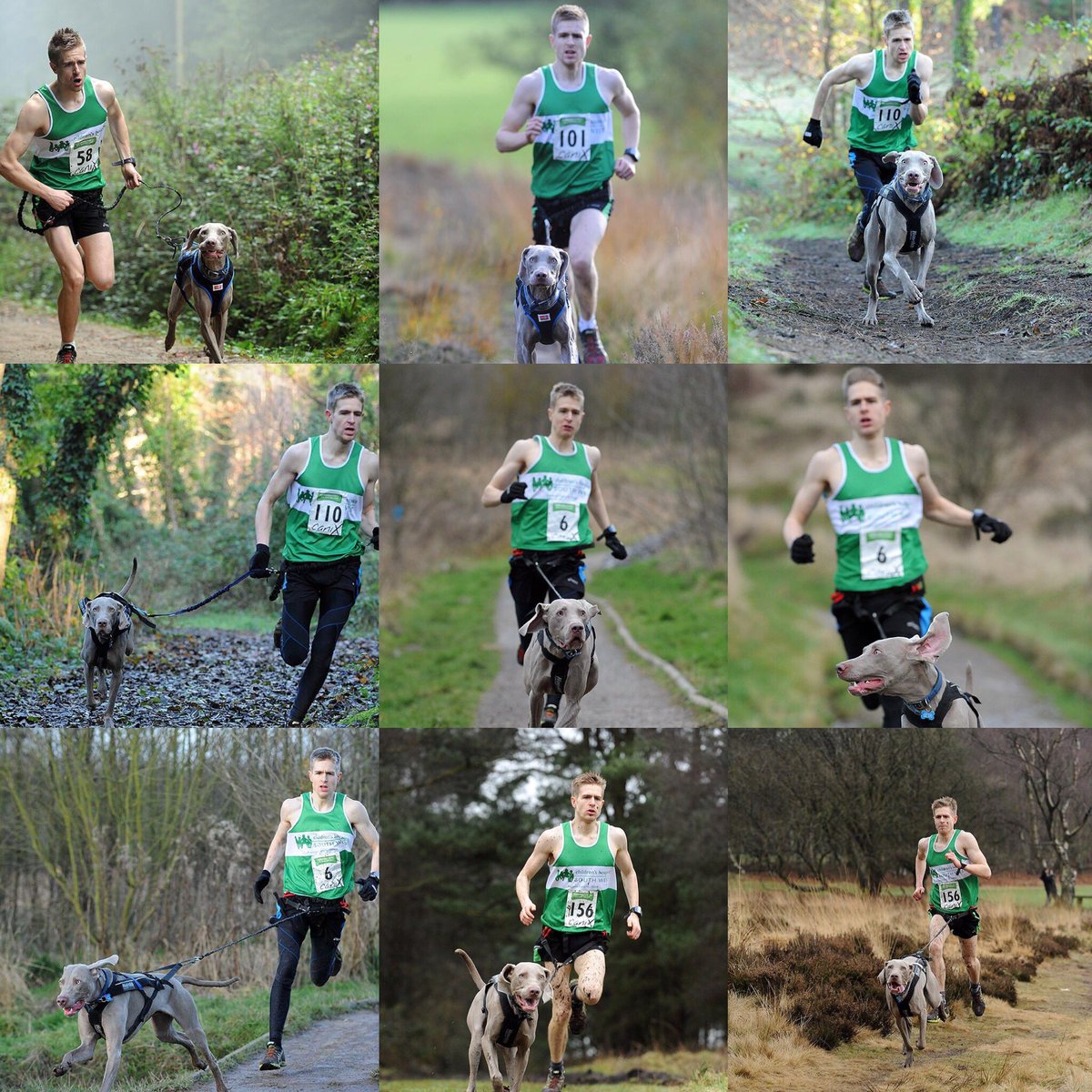 RobinsonCani's tweet photo. @CHSW Bolt charity 14/15 https://t.co/51LGeONPhS