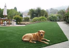PerfectLawn1's tweet photo. Are you looking for a garden makeover? FREE quotes in your area on #ArtificialGrass #PetFriendly #PerfectLawn https://t.co/mrVOKQ7RtF