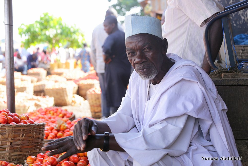 AGRONET NIGERIA tweet media