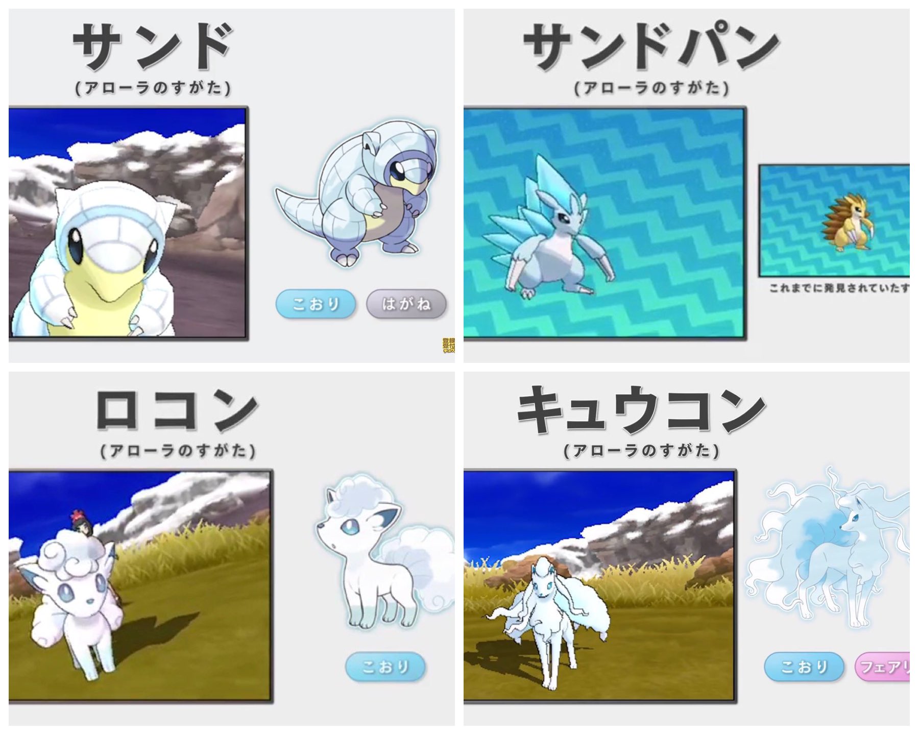 アローラ地方 Twitter Search Twitter