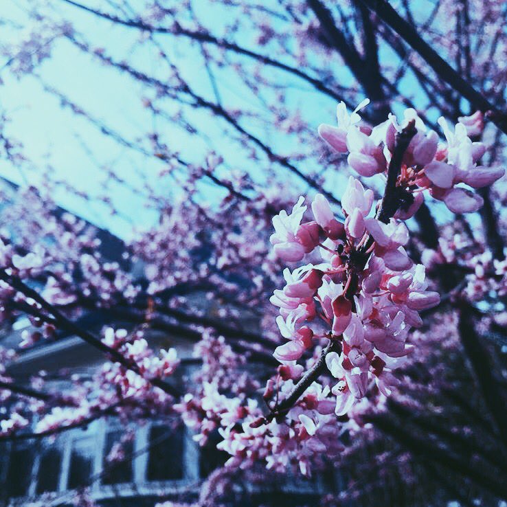 SILENTSIVAN's tweet photo. #frantasticmonday,, hi I'm izzy! I hope you have a great day today, and I hope you're happy :)🌻
{ @ConnorFranta } https://t.co/Q7dzwZZKnr