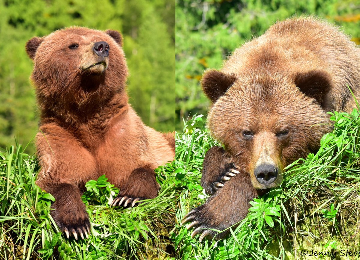 That feeling when you wake up on Monday morning ... then realize it's a holiday. :)