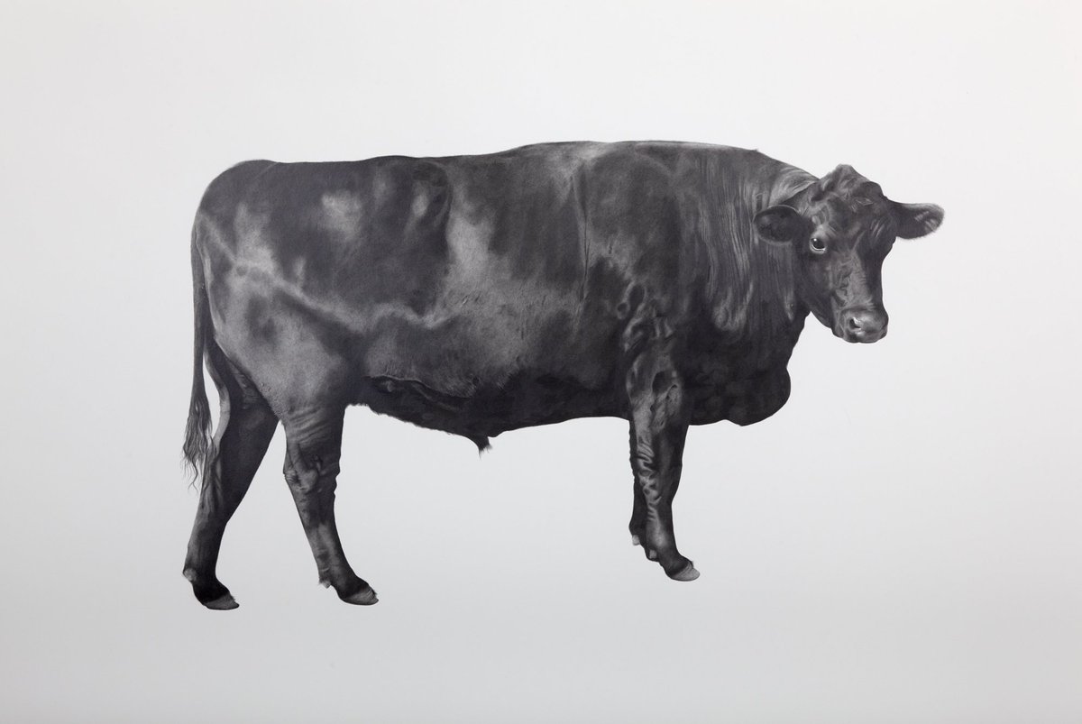 horseboxgallery's tweet photo. New lifesize pencil drawings from the studio of Robert Davies / info@thehorseboxgallery.com https://t.co/CersgyHm8t https://t.co/OomYVqXtob