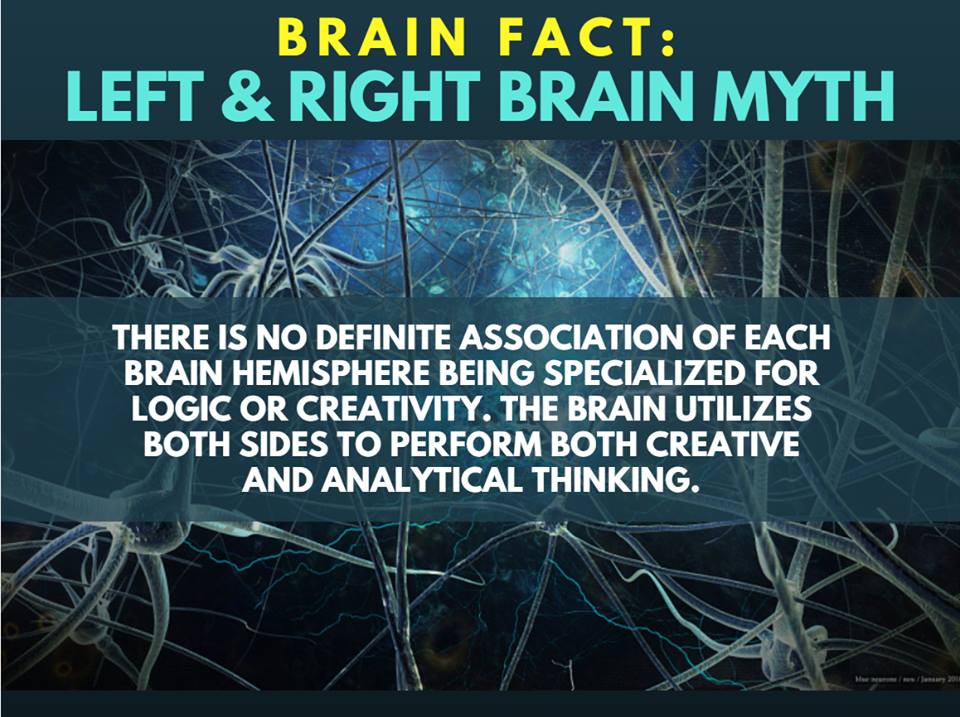 WMP lab is looking for participants from children to older adults in studies! wmp.education.uci.edu #brainfacts