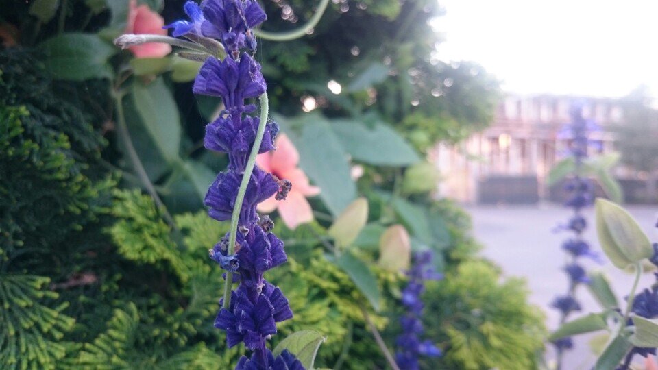 Dan Sheadel (@tekdemo) on Twitter photo 