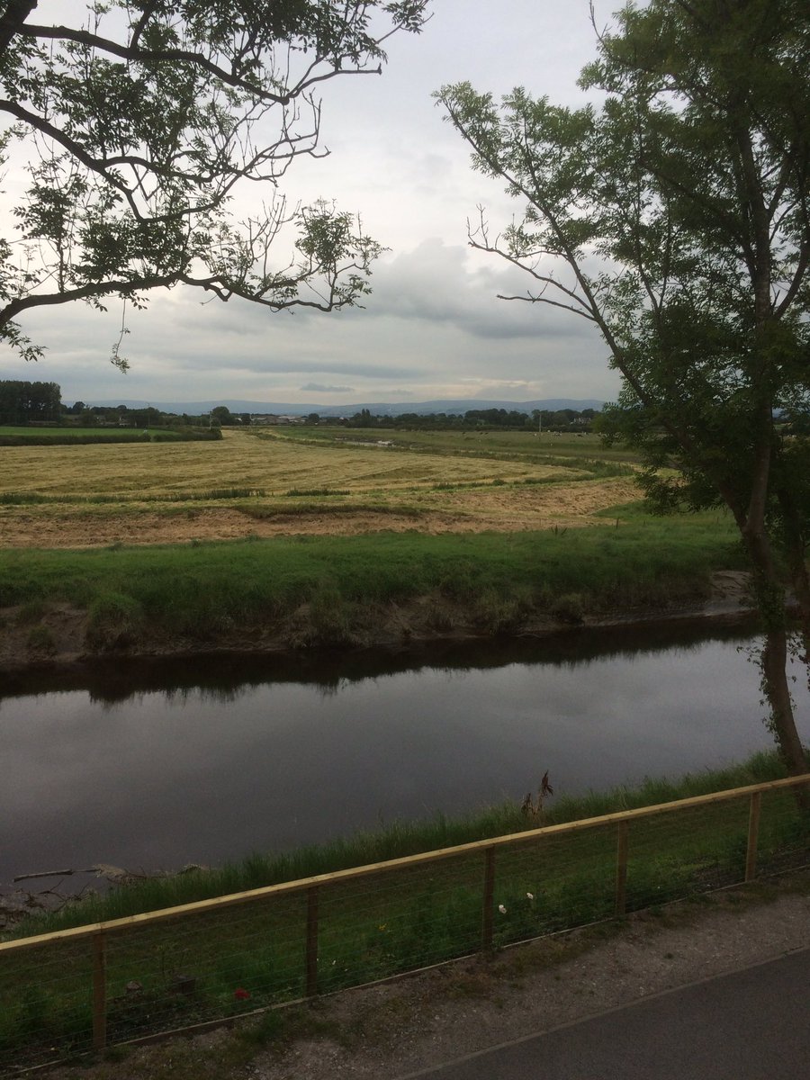 hotel room views tweet media