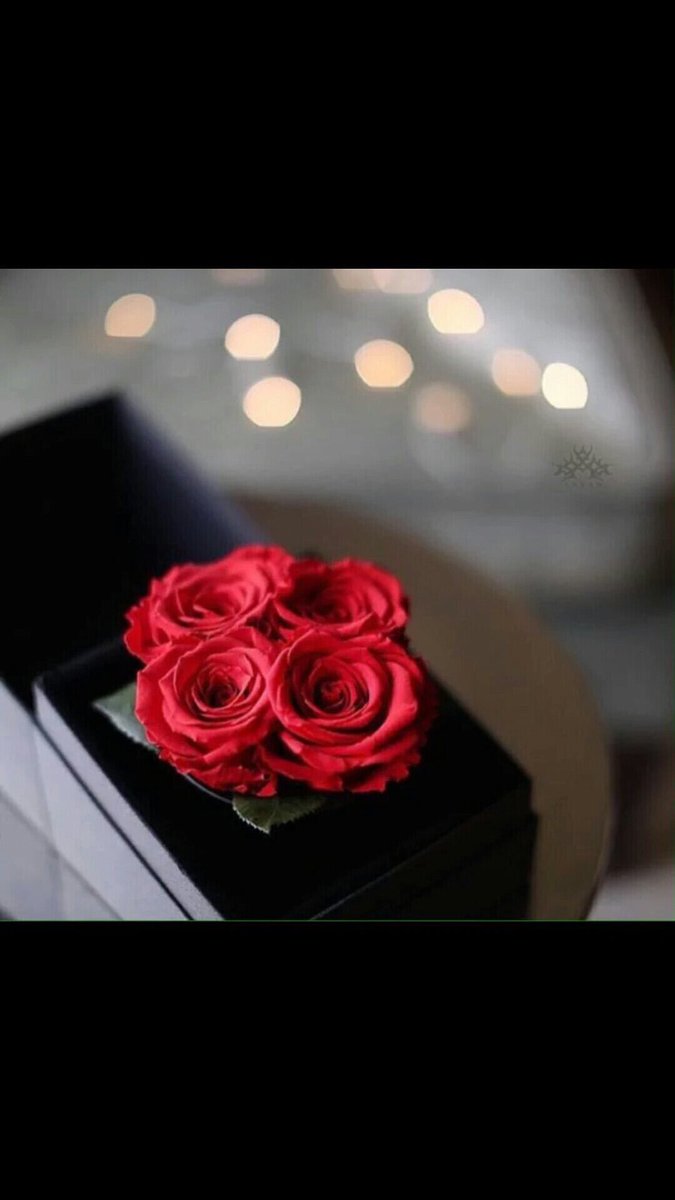 th__ry's tweet photo. @alshammari38 مساء الخير https://t.co/6282uHfxub