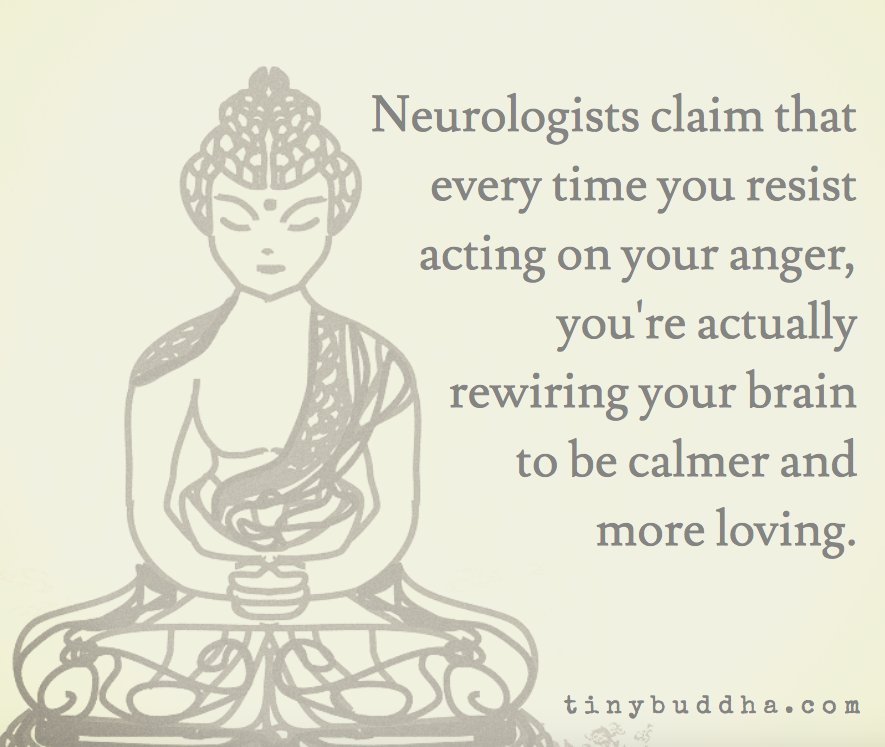 tinybuddha's tweet image. Neurologists claim that every time you resist acting on your anger, you're rewiring your brain to be calmer and...