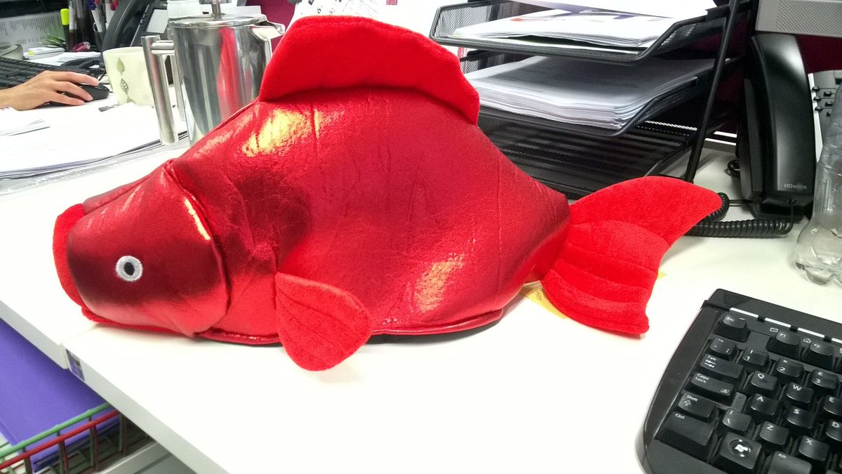 cuhealthliby's tweet image. Here is JJ's @FlyingTigerCph  fish making an appearance on the #twitterstream @jedwardjones