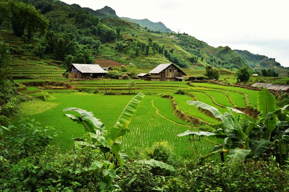 idadelg's tweet photo. Sapa en Vietnam un lugar idílico sacado de un cuadro. https://t.co/sYBSbEPkiG