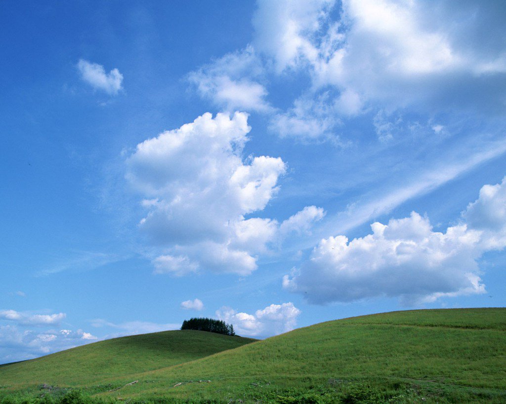 Kamu kenalnissa.wordpress.com/2016/08/01/kau…