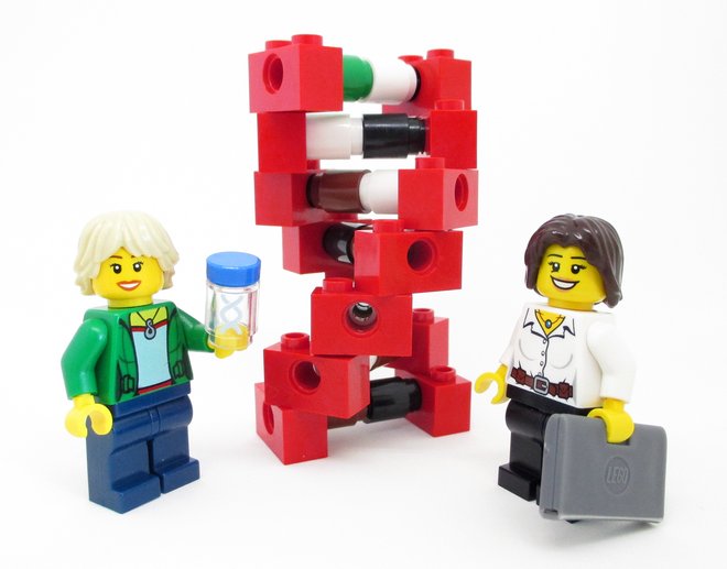4womeninscience's tweet image. Jennifer Doudna and Emmanuelle Charpentier could be the new LEGO biology pioneers. VOTE here ideas.lego.com/projects/118422
