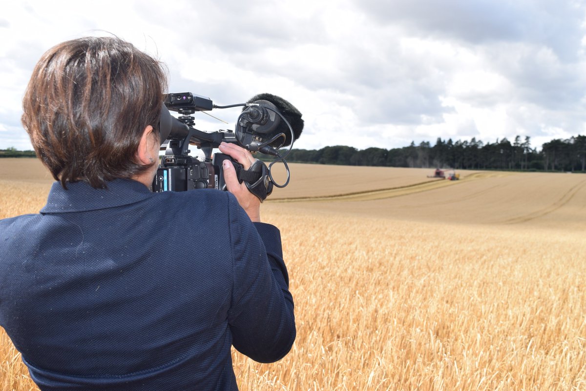 Thank you to <a href="/KateProutITV/">Kate Prout</a> for coming to see my harvest today. Tune in to <a href="/itvanglia/">ITV News Anglia</a> tonight at 6 to hear my story!