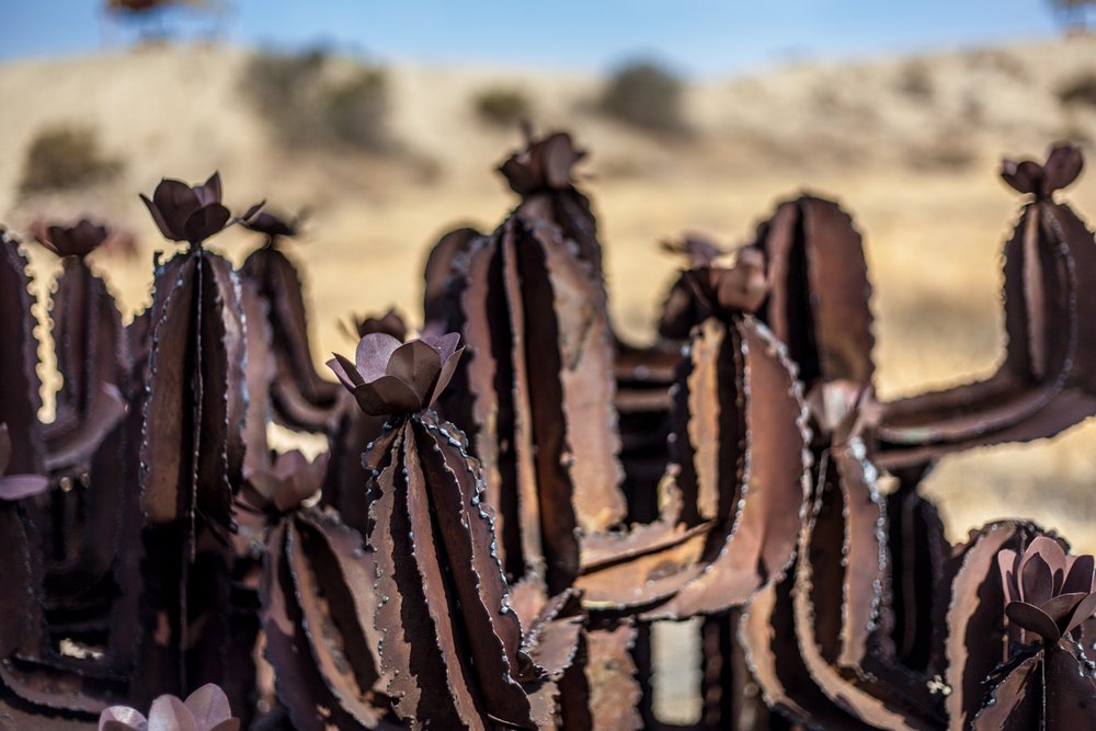NataliaRPhoto's tweet photo. A Morning with Ricardo Breceda: https://t.co/3P9gUgasQR #BorregoSprings #Aguanga #SoCaldesert #exploreyourworld #art https://t.co/cVeVx9dxUa