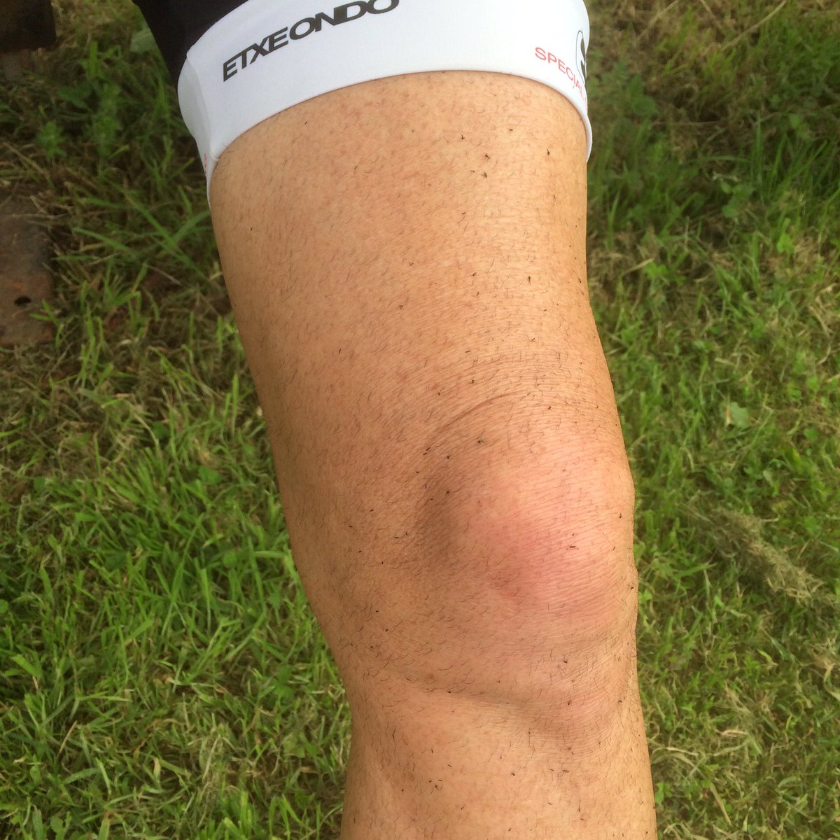 cycletourleader's tweet image. Great day for #flycatching maybe I used too much #musclerub