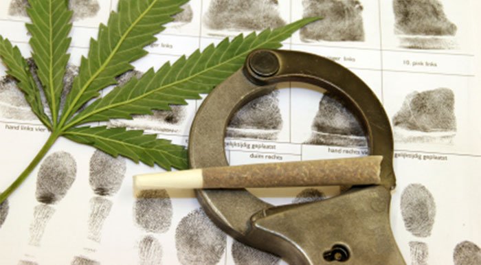 IL Senate Democrats tweet media