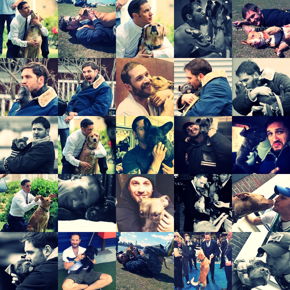 Jenny Wolf Hardy 🐾 tweet media