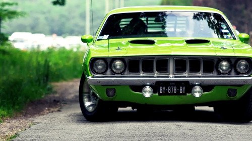 MuscleCars's tweet photo. Barracuda.
#Plymouth https://t.co/n7HcARvYPL