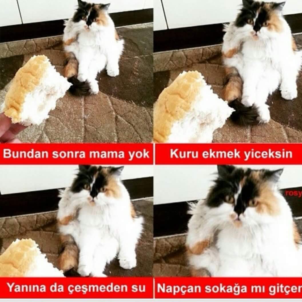 mutluburjuva's tweet image. #yeterbe